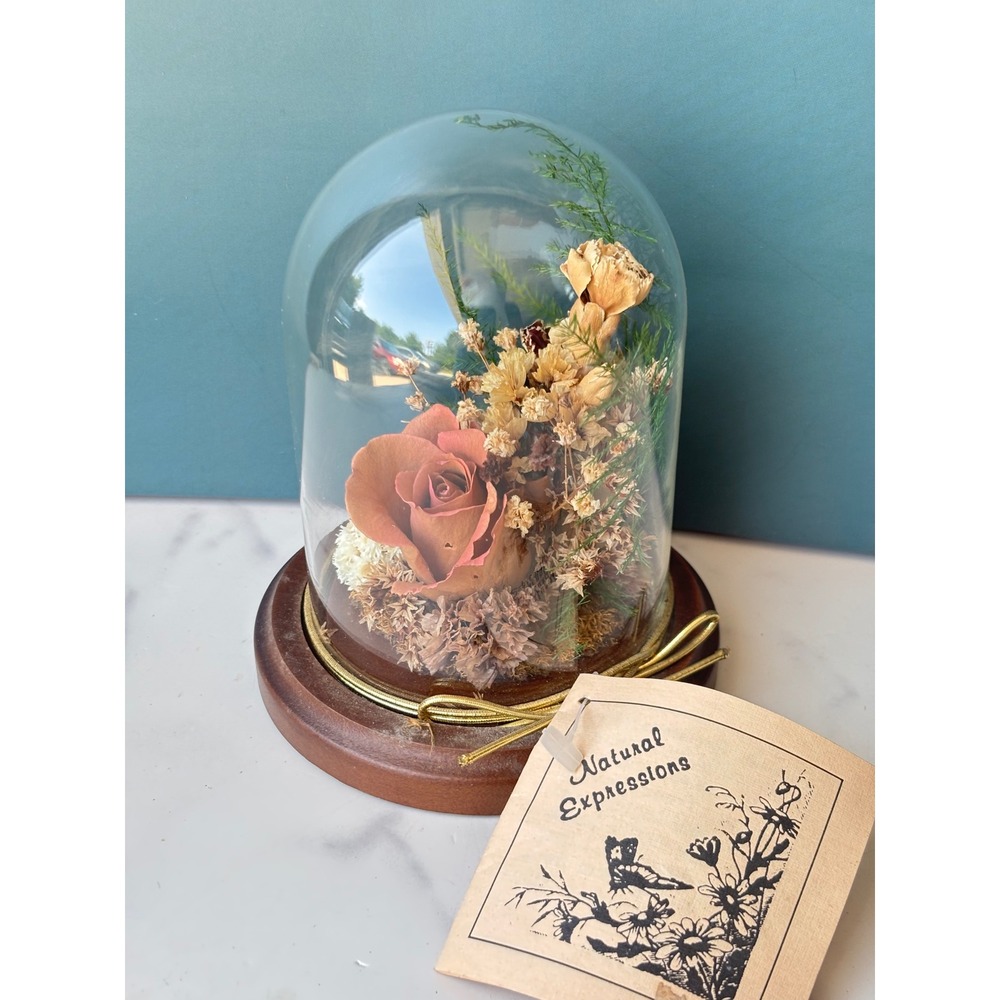 Natural Expressions Dried Flower Glass Cloche Wood Base Preserved Pink Rose 5in